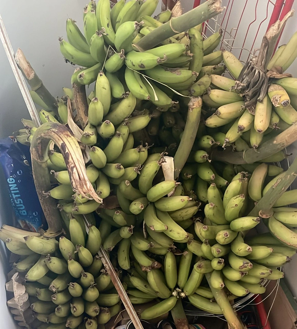 Banana from Kandulu Royal Farm