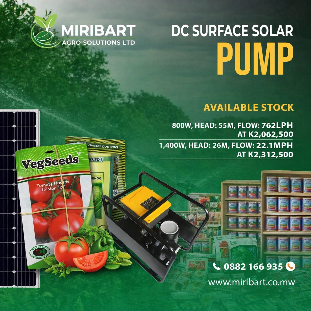 DC Surface Solar Pump