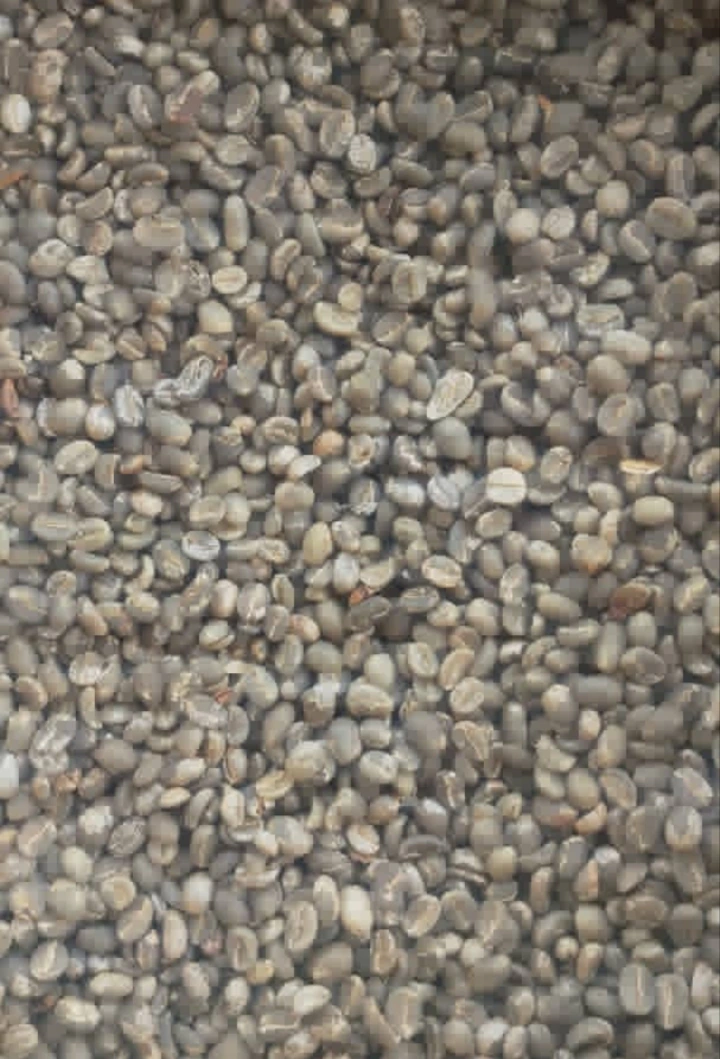 Grade AA Coffee Beans For Sale