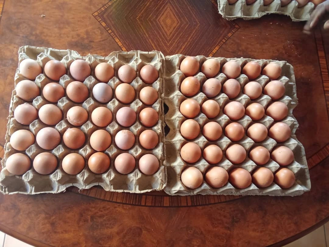 Farm Eggs