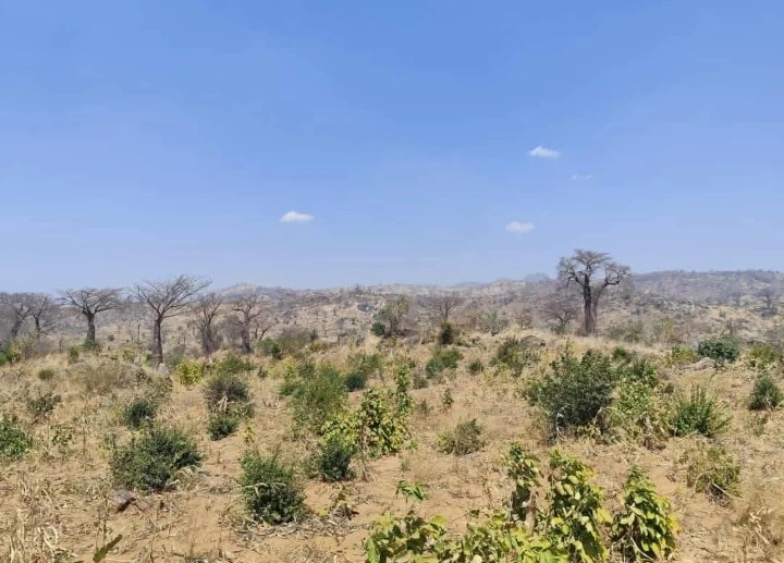 FARM FOR SALE IN MANGOCHI