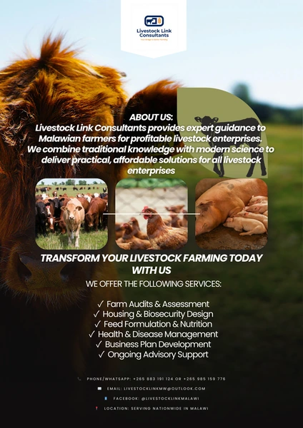 Livestock Link Consultants Banner