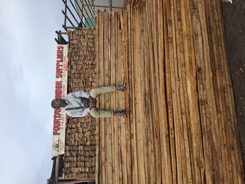 Thokozani Timber supplier Logo