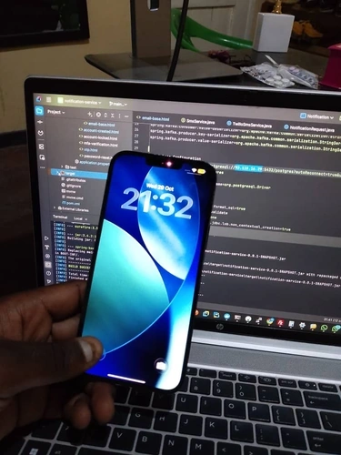 Levie Electronics Logo