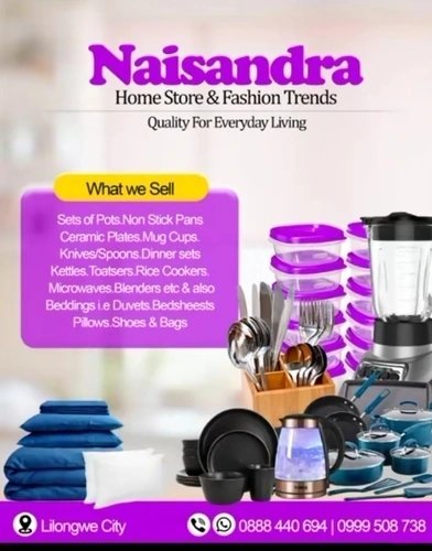 NAISA Logo